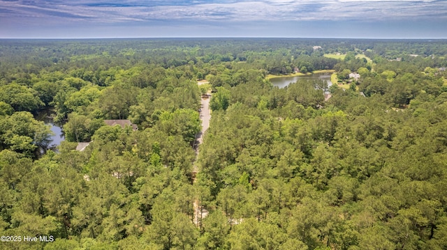 104 River Woods Dr, Wallace, NC 28466