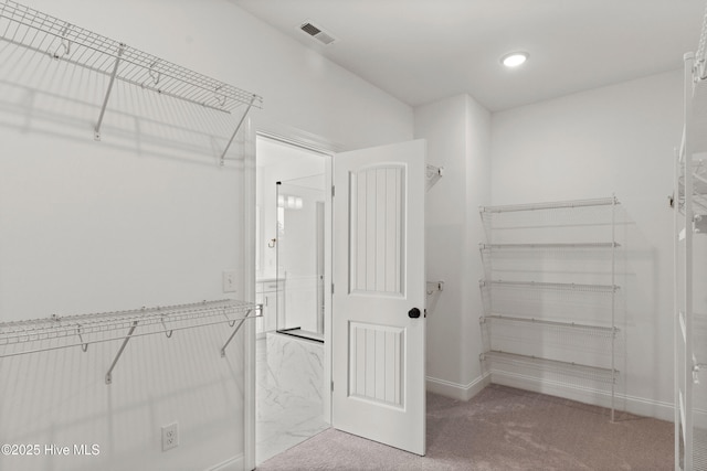 3924 Watersail Dr Unit 88, Wilmington, NC 28409 - walk in closet with light carpet