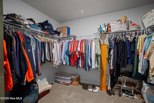 4345 Nine Iron Dr, Ayden, NC 28513 - spacious closet featuring carpet flooring