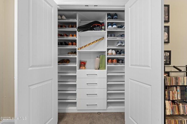 117 Bimini Townes Ln, Carolina Beach, NC 28428 - view of closet