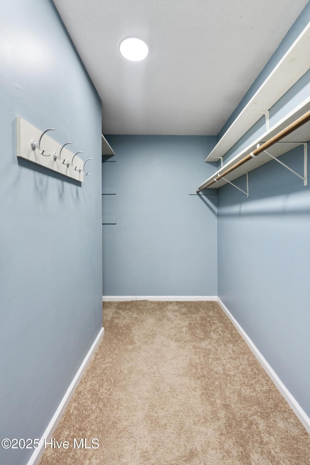 716 Shadowridge Rd, Jacksonville, NC 28546 - walk in closet featuring carpet floors