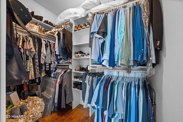 233 E Water St, Washington, NC 27889 - walk in closet featuring wood finished floors