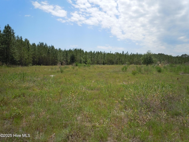 2231 Barts Rd, Loris, SC 29569