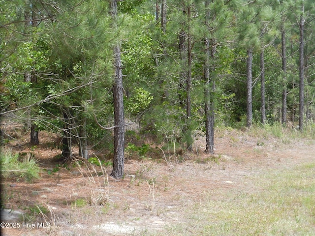 2231 Barts Rd, Loris, SC 29569