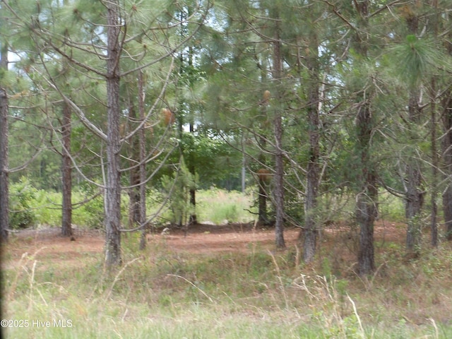 2231 Barts Rd, Loris, SC 29569