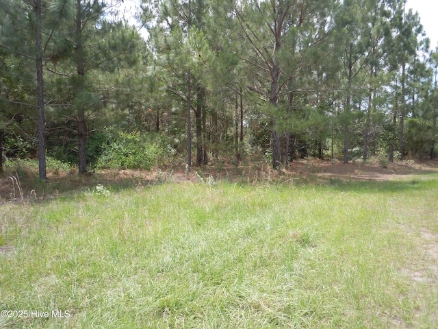 2231 Barts Rd, Loris, SC 29569