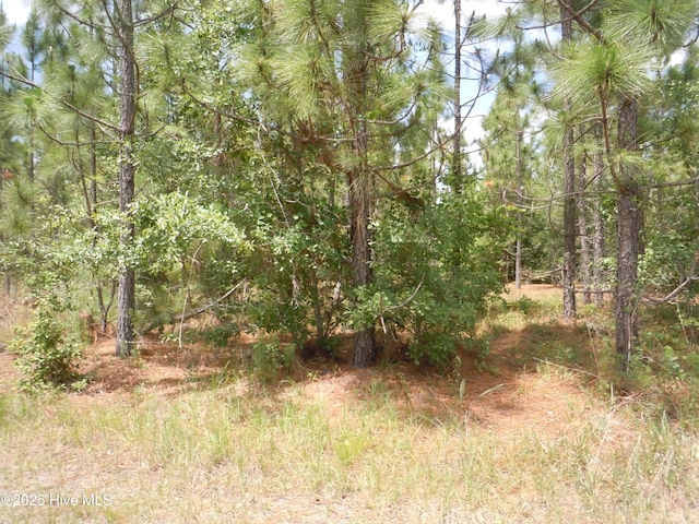 2231 Barts Rd, Loris, SC 29569