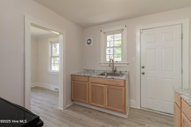 808 Cabarrus St, Edenton, NC 27932 - kitchen with a sink, light wood-style flooring, and healthy amount of natural light