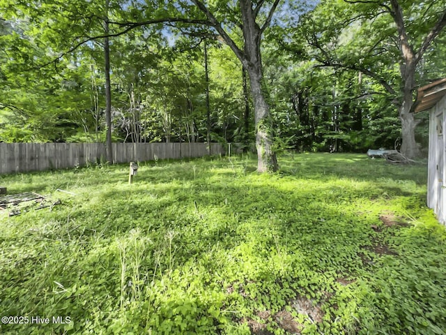 101 W Pearl St, Aulander, NC 27805 - view of yard