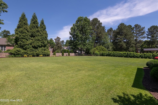 509 Westminster Cir, Greenville, NC 27858 - view of yard