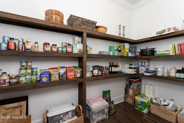 204 N Sea Lily Ct, Hampstead, NC 28443 - view of pantry