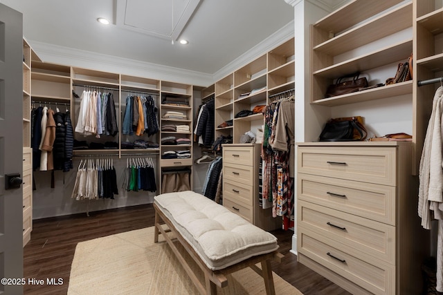 204 N Sea Lily Ct, Hampstead, NC 28443 - walk in closet featuring dark wood finished floors