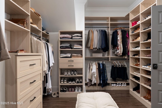204 N Sea Lily Ct, Hampstead, NC 28443 - walk in closet with dark wood-type flooring