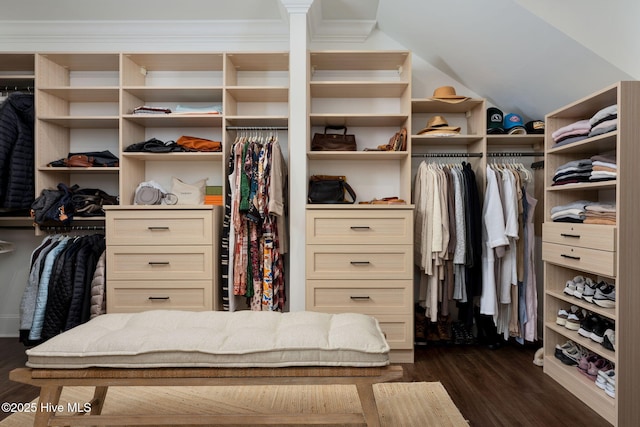 204 N Sea Lily Ct, Hampstead, NC 28443 - spacious closet with dark wood-type flooring and lofted ceiling