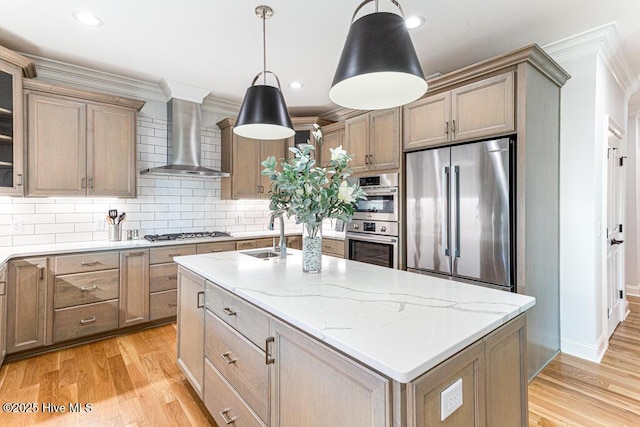 177 National Dr, Pinehurst, NC 28374 - kitchen featuring stainless steel appliances, wall chimney exhaust hood, light wood-type flooring, backsplash, and a sink