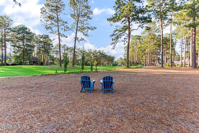 177 National Dr, Pinehurst, NC 28374 - view of community featuring a lawn