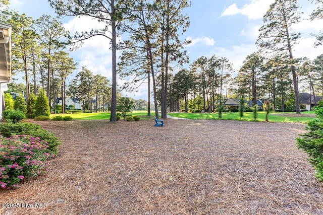 177 National Dr, Pinehurst, NC 28374 - view of property's community