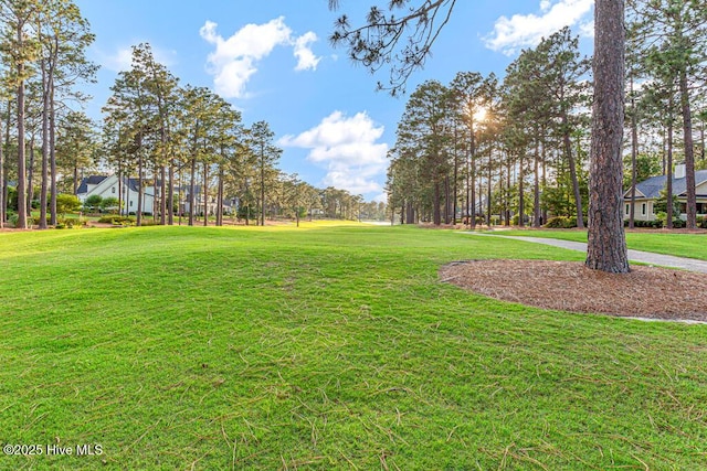 177 National Dr, Pinehurst, NC 28374 - view of property's community featuring a yard