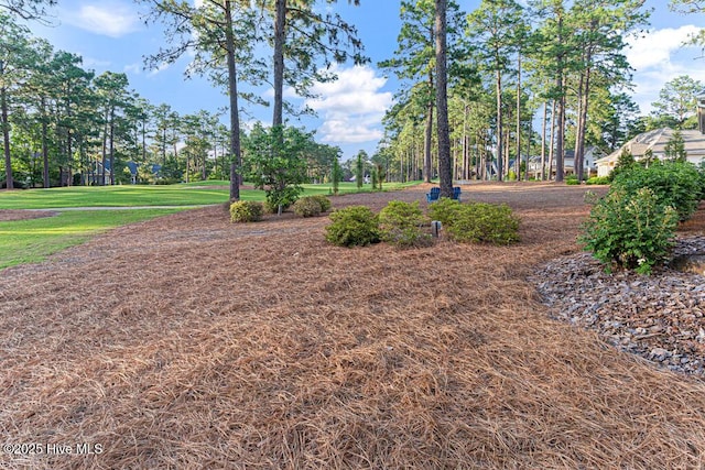 177 National Dr, Pinehurst, NC 28374 - view of grassy yard