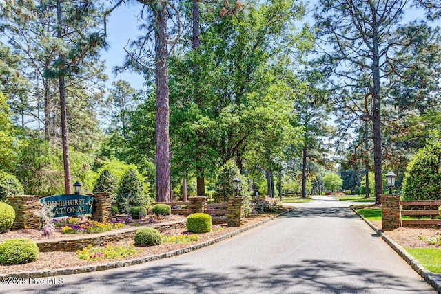 177 National Dr, Pinehurst, NC 28374 - view of asphalt street featuring street lights and curbs
