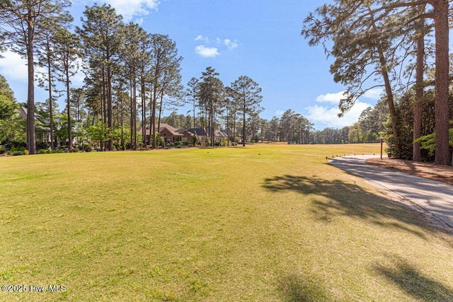 177 National Dr, Pinehurst, NC 28374 - view of green lawn