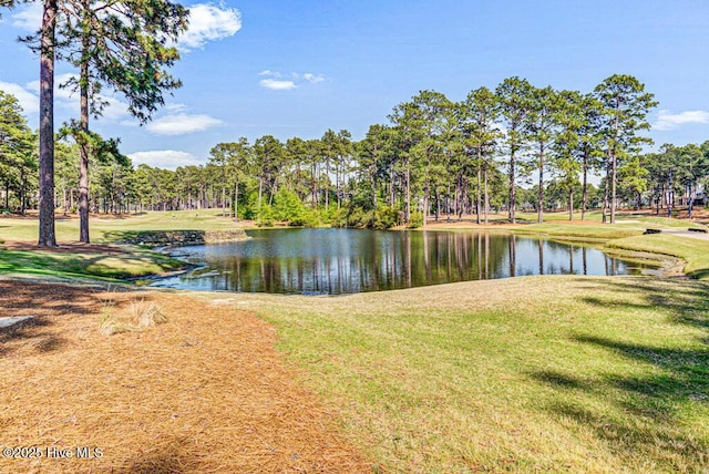 177 National Dr, Pinehurst, NC 28374 - water view