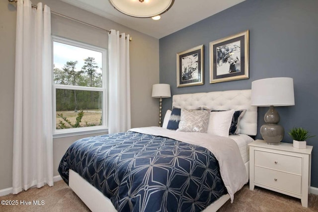 285 Hawks Run Dr Unit 4068, Carolina Shores, NC 28467 - carpeted bedroom with baseboards