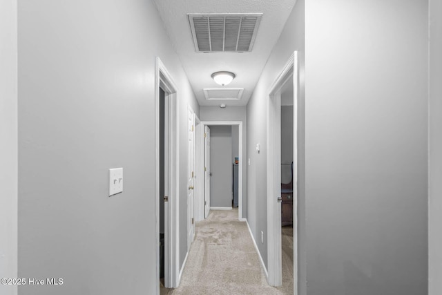 815 Gadwell Loop, Jacksonville, NC 28540 - corridor with attic access, carpet flooring, and baseboards