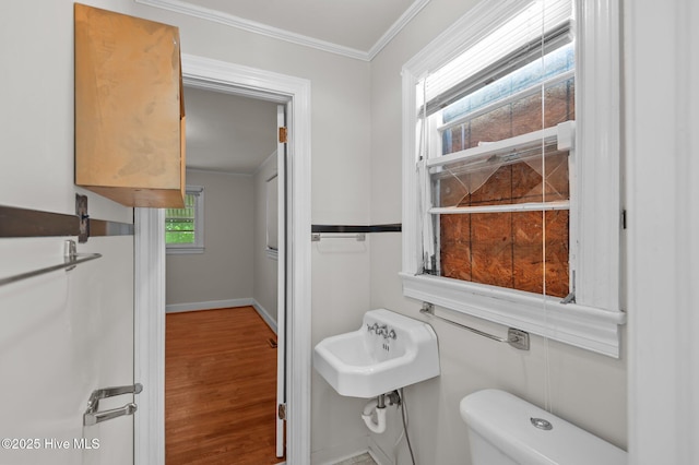 1704 Charlotte Ave, Kinston, NC 28501 - half bath with a sink, toilet, ornamental molding, wood finished floors, and baseboards