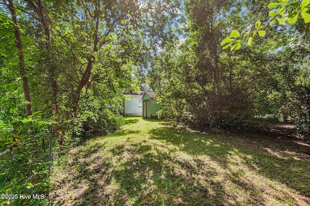 1704 Charlotte Ave, Kinston, NC 28501 - view of grassy yard with an outbuilding