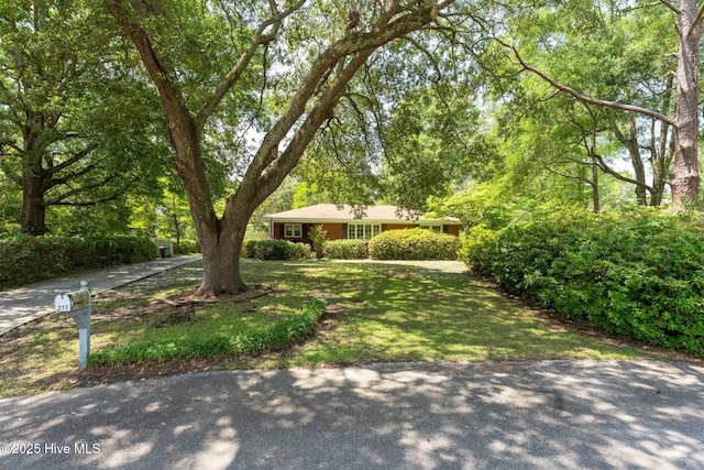 211 Spruce Cir, Wilmington, NC 28403 - view of green lawn