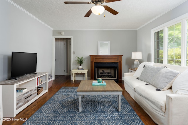 211 Spruce Cir, Wilmington, NC 28403 - living room featuring a ceiling fan, ornamental molding, dark wood-style flooring, and a fireplace