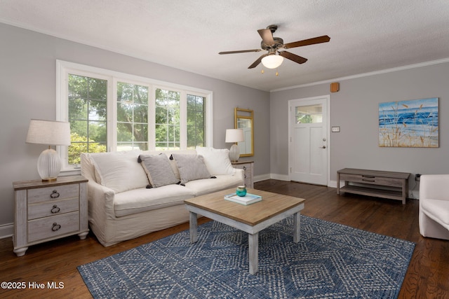 211 Spruce Cir, Wilmington, NC 28403 - living room with healthy amount of natural light, ceiling fan, ornamental molding, wood finished floors, and baseboards