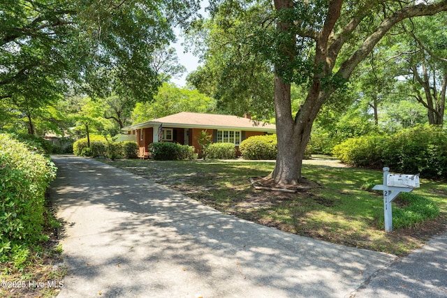 211 Spruce Cir, Wilmington, NC 28403 - ranch-style home with driveway