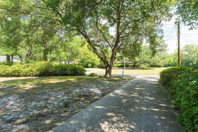 211 Spruce Cir, Wilmington, NC 28403 - view of yard