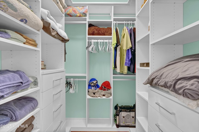 395 S Crow Creek Dr Unit 2306, Calabash, NC 28467 - view of spacious closet