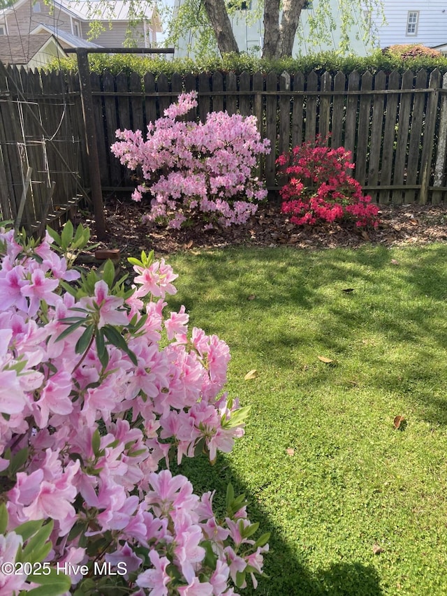 215 W Queen St, Edenton, NC 27932 - view of yard