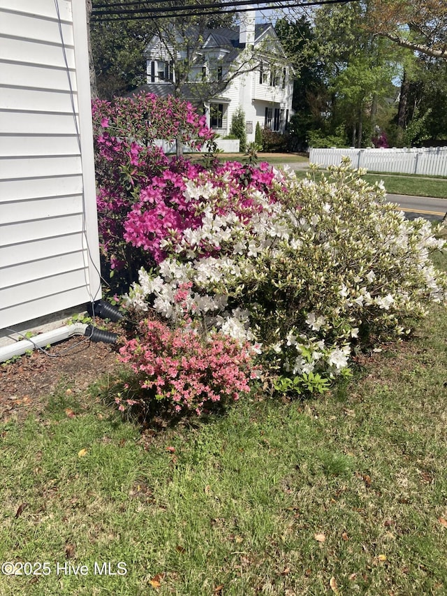 215 W Queen St, Edenton, NC 27932 - view of yard