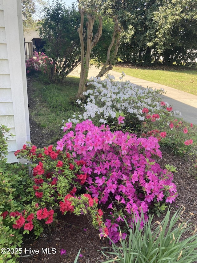 215 W Queen St, Edenton, NC 27932 - view of yard