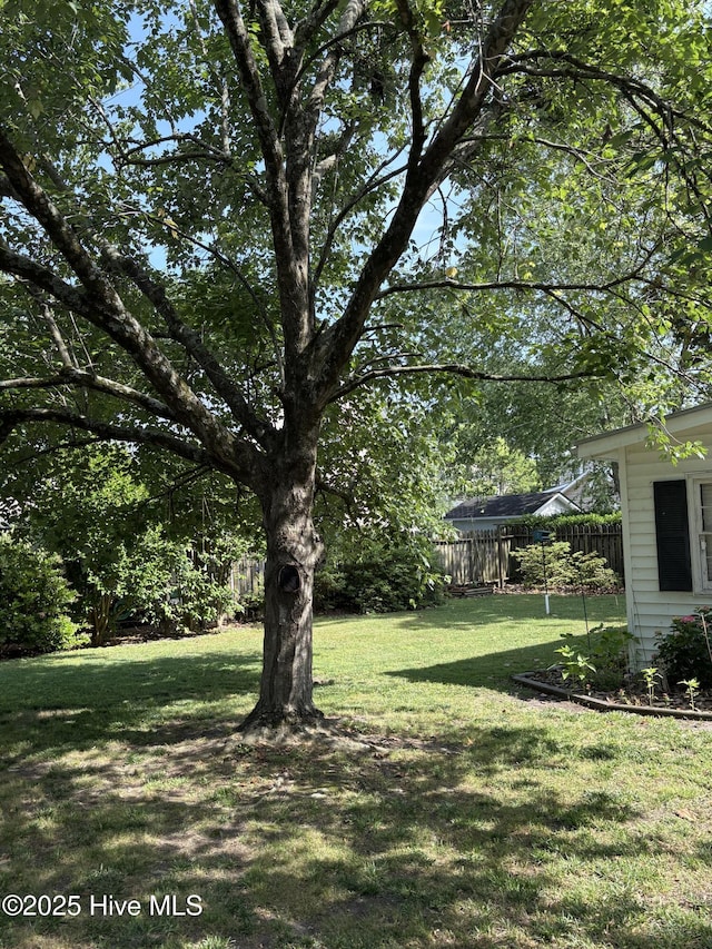 215 W Queen St, Edenton, NC 27932 - view of yard