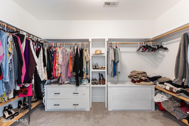 157 Heritage Way, Hampstead, NC 28443 - spacious closet featuring light colored carpet