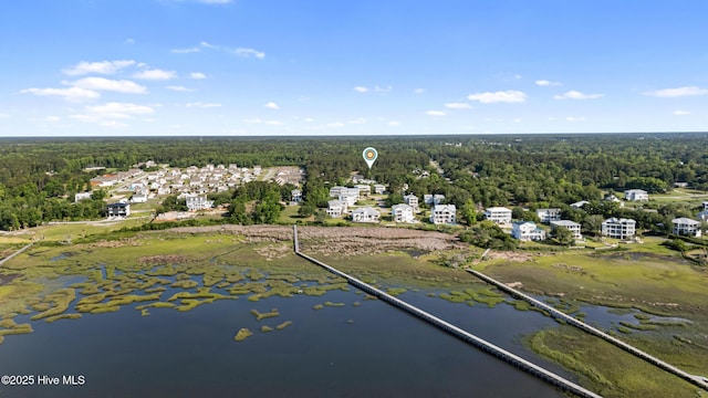 157 Heritage Way, Hampstead, NC 28443 - drone / aerial view of a forest and a nearby body of water
