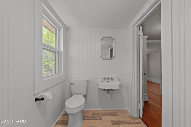 410 Craven St, Bath, NC 27808 - bathroom with toilet, wood finished floors, crown molding, a sink, and baseboards