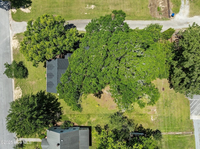 410 Craven St, Bath, NC 27808 - bird's eye view