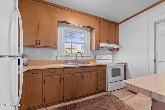 410 Craven St, Bath, NC 27808 - kitchen with white appliances, a sink, under cabinet range hood, ornamental molding, and light countertops