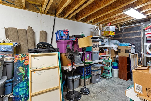 2 Beryl Cir, Pinehurst, NC 28374 - view of storage area