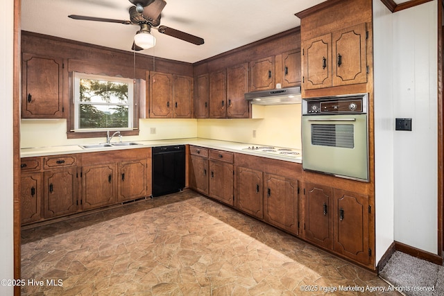 1363 Robert Everett Rd, Robersonville, NC 27871 - kitchen with wall oven, black dishwasher, white electric cooktop, under cabinet range hood, and a sink