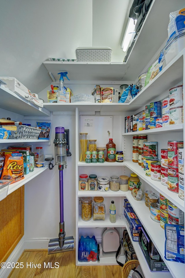 4029 Berberis Way, Wilmington, NC 28412 - view of pantry
