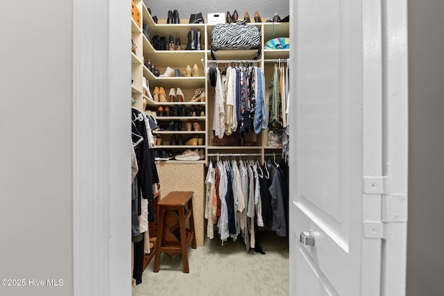 3 Merion Cir, Pinehurst, NC 28374 - walk in closet with carpet floors