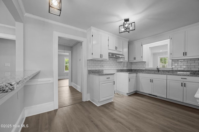 306 Oak Dr, Tarboro, NC 27886 - kitchen with dark wood-style flooring, under cabinet range hood, decorative backsplash, white cabinets, and plenty of natural light
